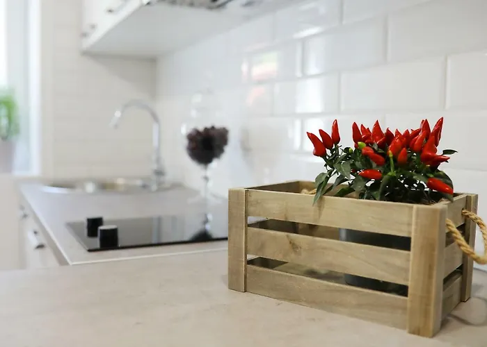 Apartman Saint Simeon And *